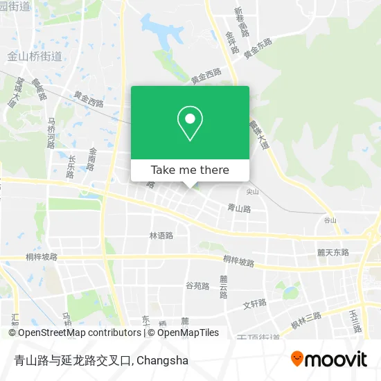 青山路与延龙路交叉口 map