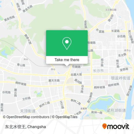 东北水饺王 map