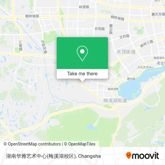 湖南华雅艺术中心(梅溪湖校区) map