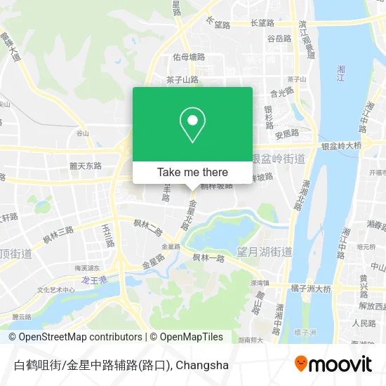 白鹤咀街/金星中路辅路(路口) map