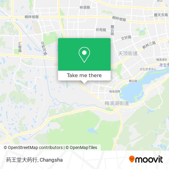 药王堂大药行 map