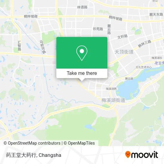 药王堂大药行 map