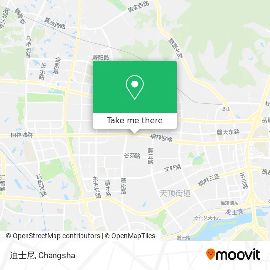 迪士尼 map