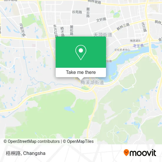梧桐路 map