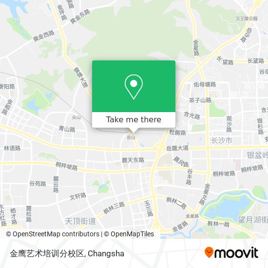 金鹰艺术培训分校区 map