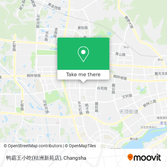 鸭霸王小吃(桔洲新苑店) map