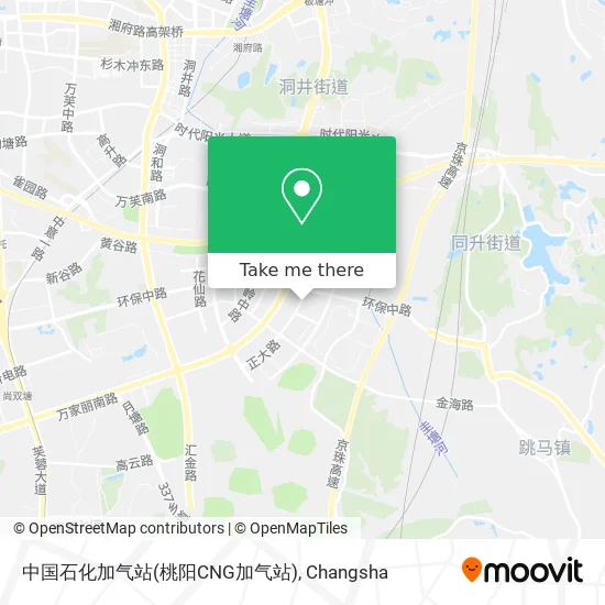 中国石化加气站(桃阳CNG加气站) map