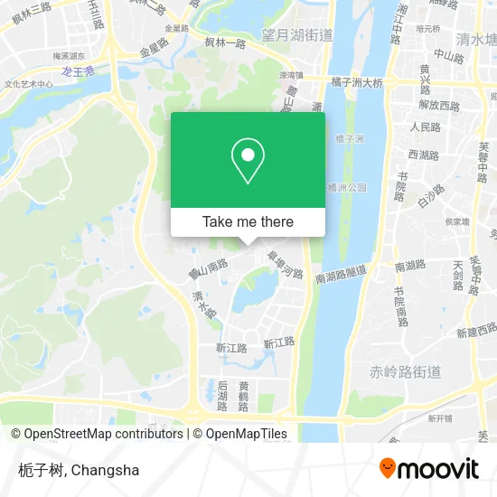 栀子树 map
