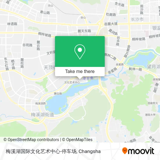 梅溪湖国际文化艺术中心-停车场 map