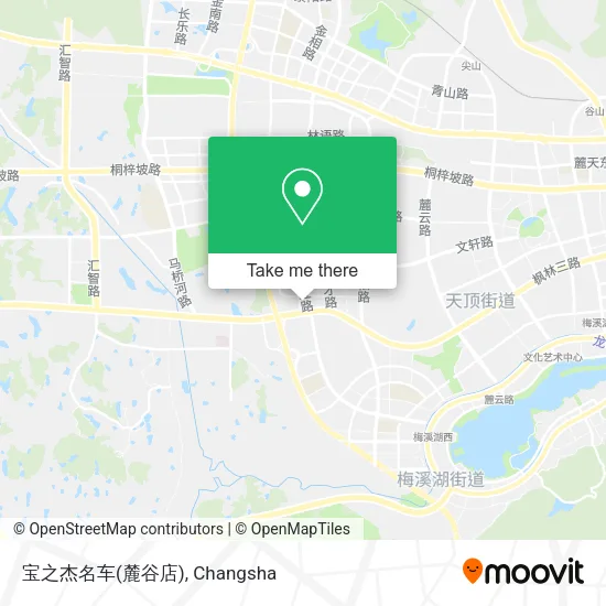 宝之杰名车(麓谷店) map