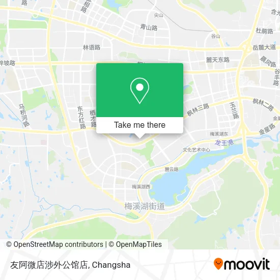 友阿微店涉外公馆店 map