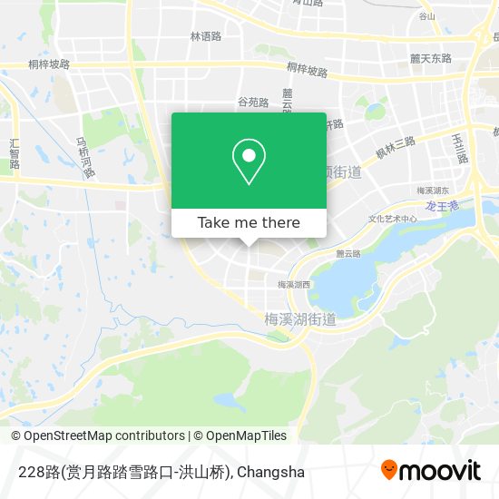 228路(赏月路踏雪路口-洪山桥) map