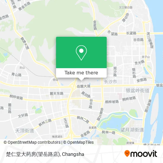 楚仁堂大药房(望岳路店) map