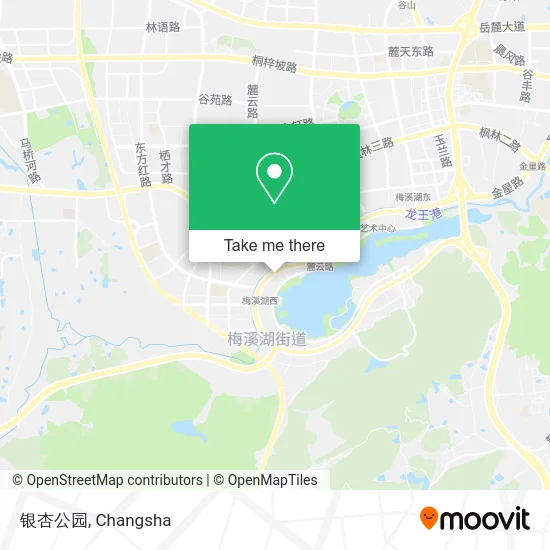 银杏公园 map
