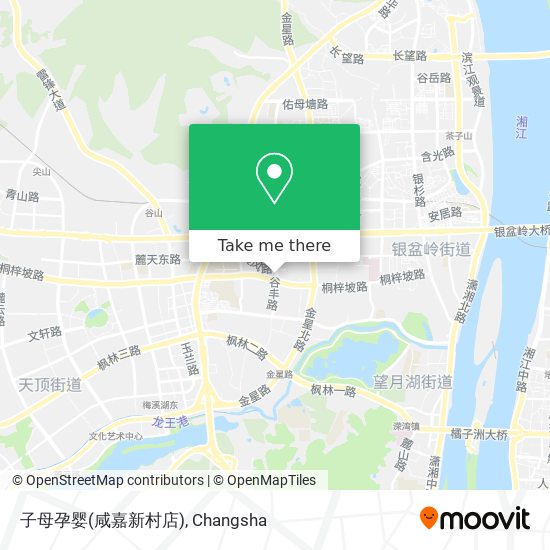 子母孕婴(咸嘉新村店) map