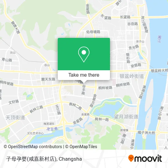 子母孕婴(咸嘉新村店) map