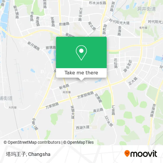 塔玛王子 map