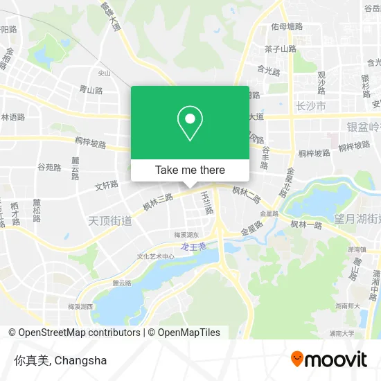 你真美 map