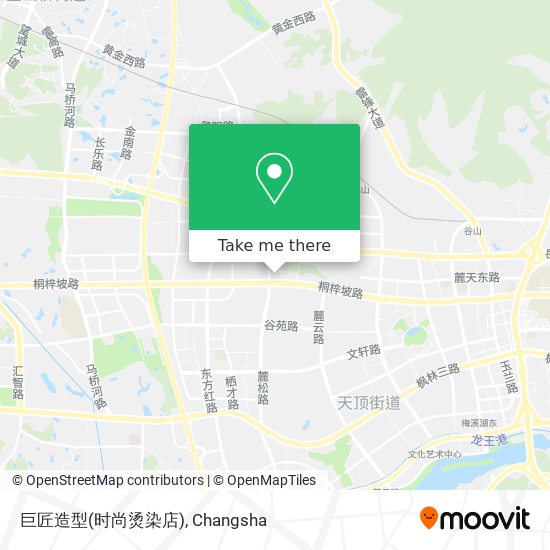 巨匠造型(时尚烫染店) map