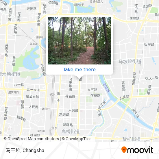 马王堆 map