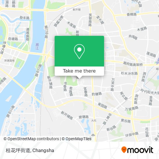 桂花坪街道 map