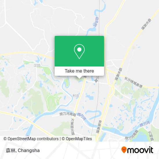 森林 map