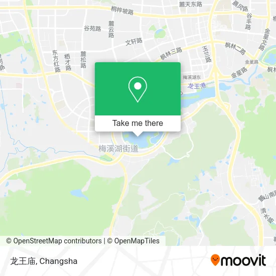 龙王庙 map