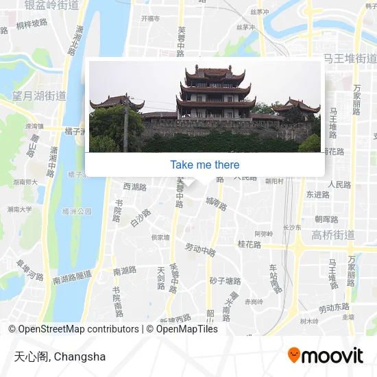 天心阁 map