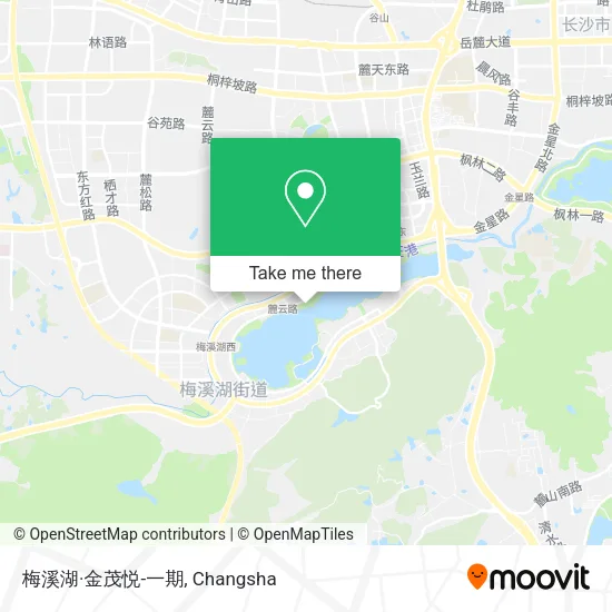 梅溪湖·金茂悦-一期 map
