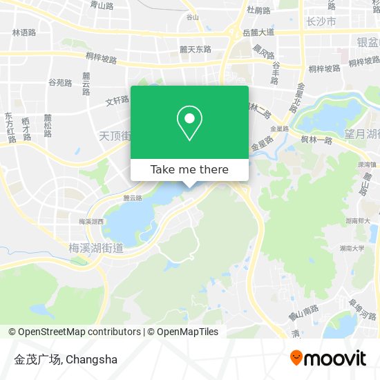 金茂广场 map