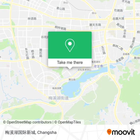 梅溪湖国际新城 map