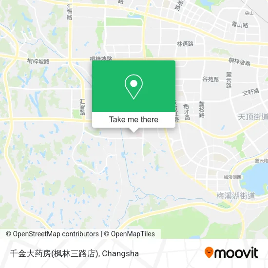 千金大药房(枫林三路店) map