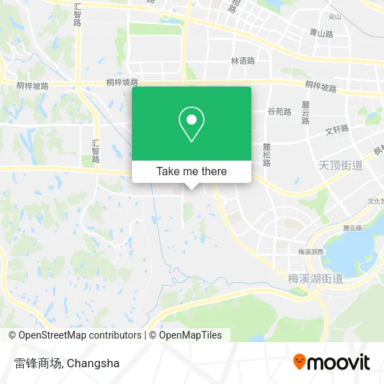 雷锋商场 map