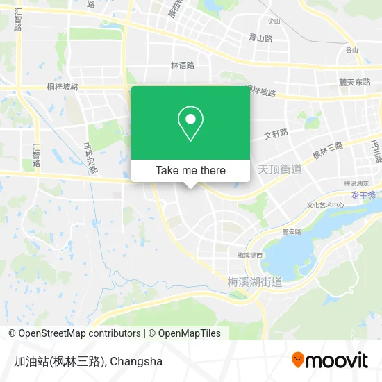 加油站(枫林三路) map