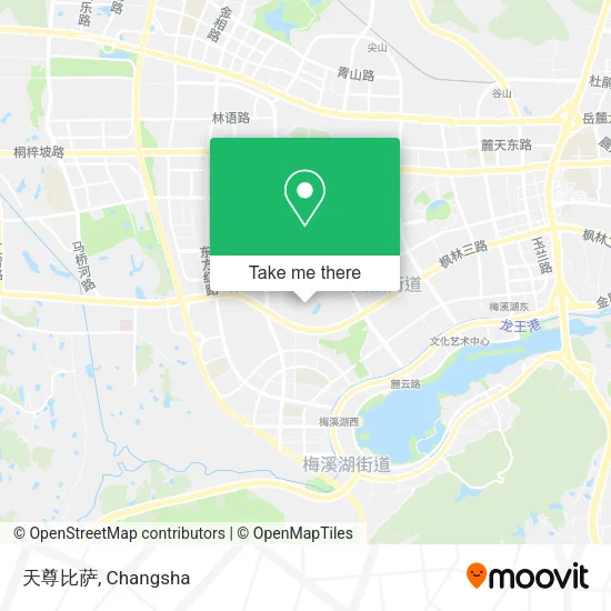 天尊比萨 map
