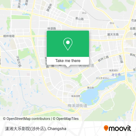 潇湘大乐影院(涉外店) map