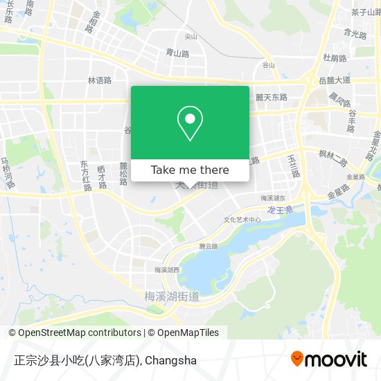 正宗沙县小吃(八家湾店) map