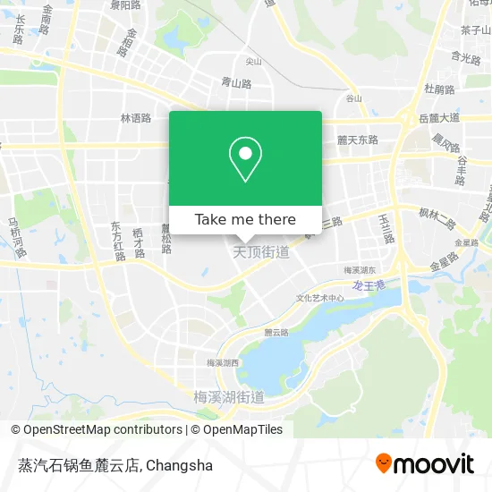 蒸汽石锅鱼麓云店 map