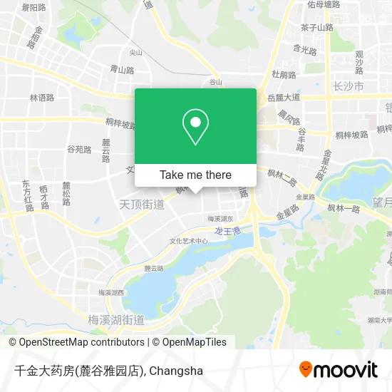 千金大药房(麓谷雅园店) map