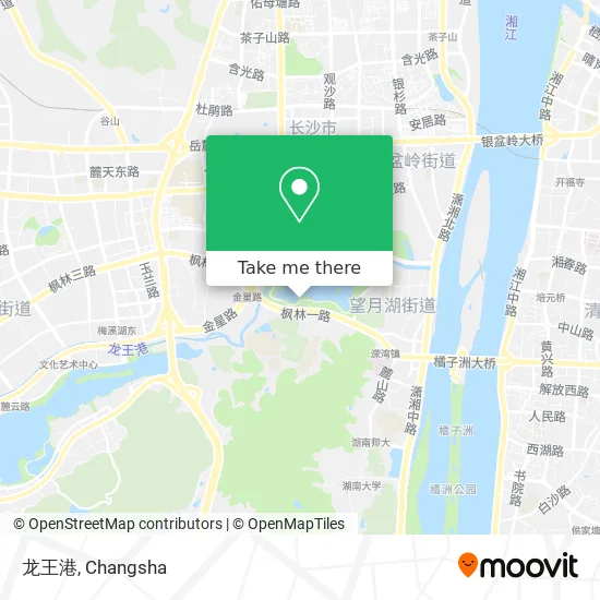 龙王港 map