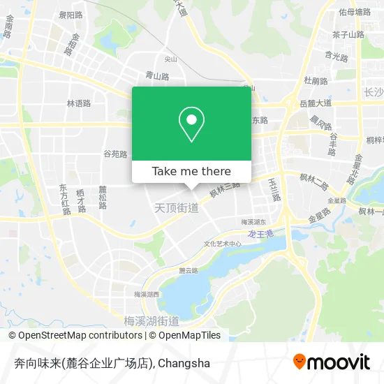 奔向味来(麓谷企业广场店) map