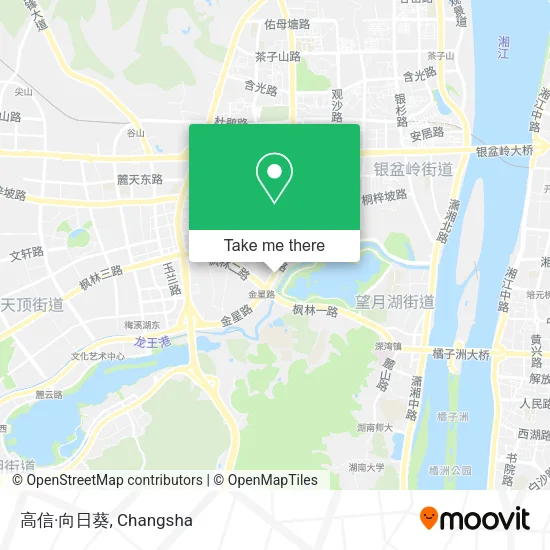 高信·向日葵 map