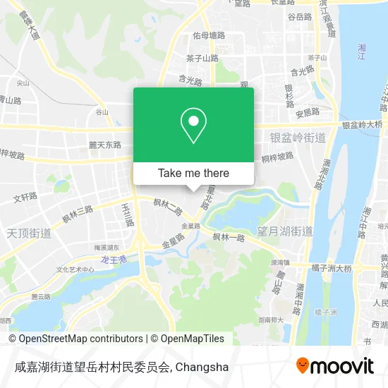 咸嘉湖街道望岳村村民委员会 map