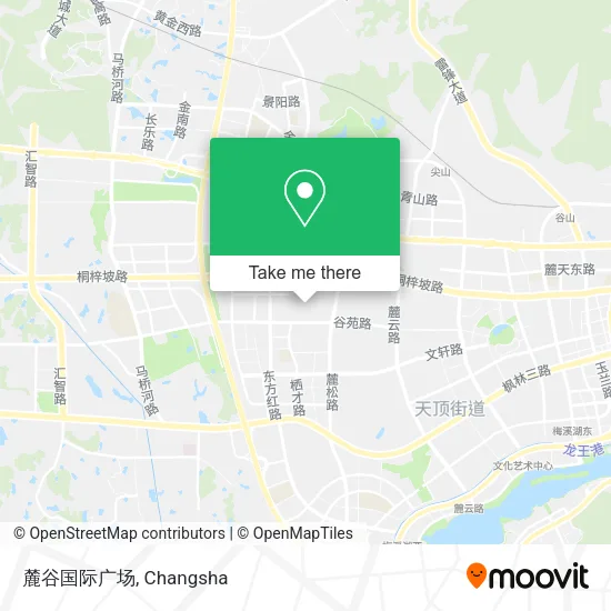 麓谷国际广场 map