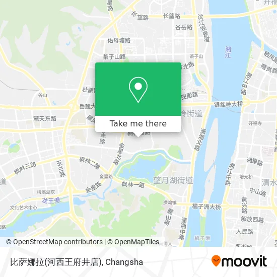 比萨娜拉(河西王府井店) map