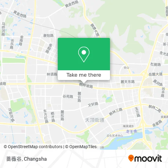 蔷薇谷 map