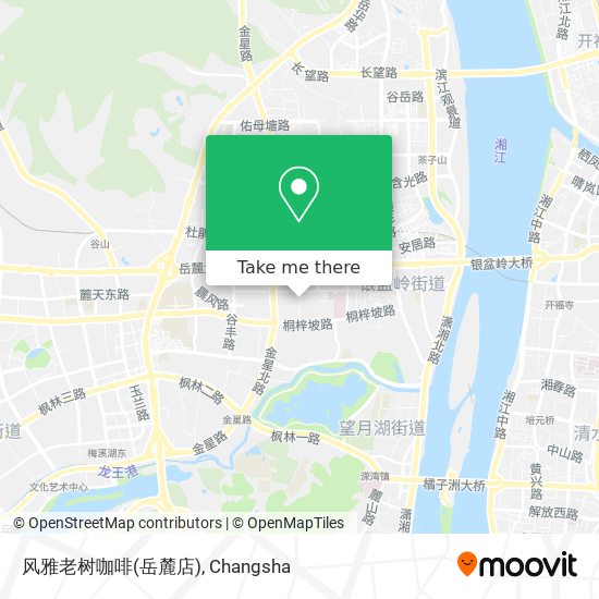 风雅老树咖啡(岳麓店) map