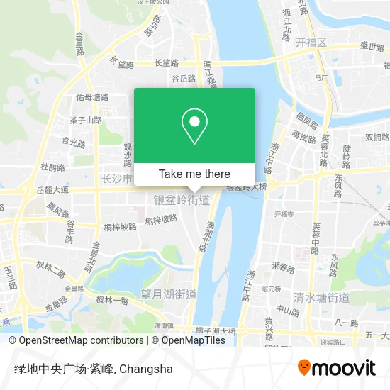 绿地中央广场·紫峰 map