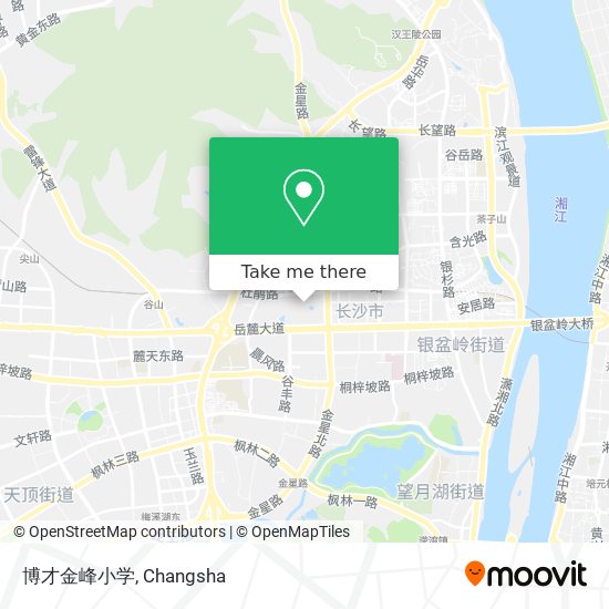 博才金峰小学 map