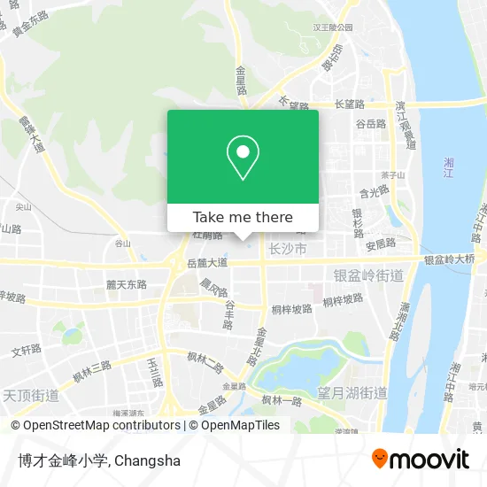 博才金峰小学 map
